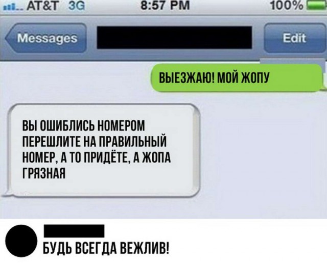 Скотсети и прочие интернеты 22.08.18