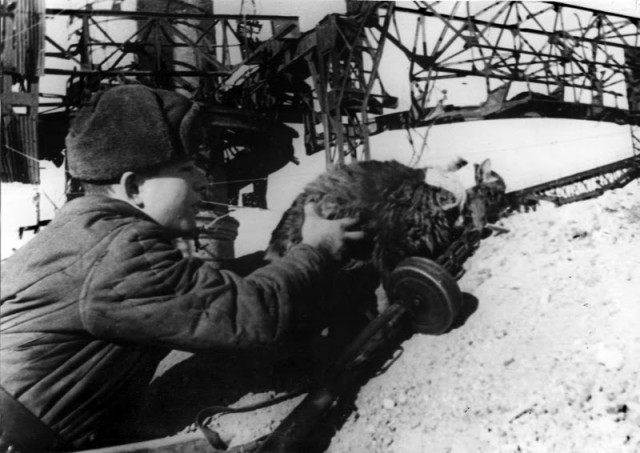 История в фотографиях - II