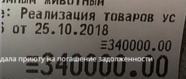 Бизнесмены хотят подарить машину девушке, отдавшей 340 тысяч на спасение приюта для животных в Майкопе