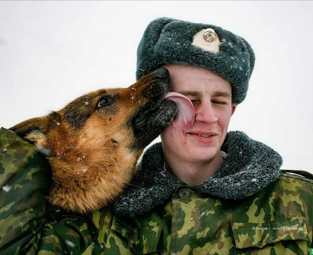 Живность из сети