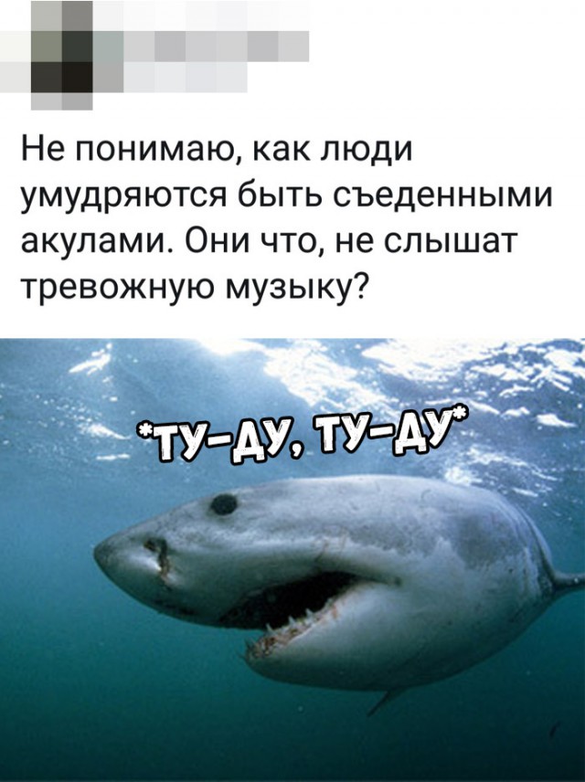 Нестандартный юмор