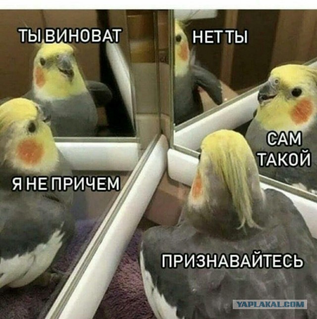 Если ты женат на б**ди!