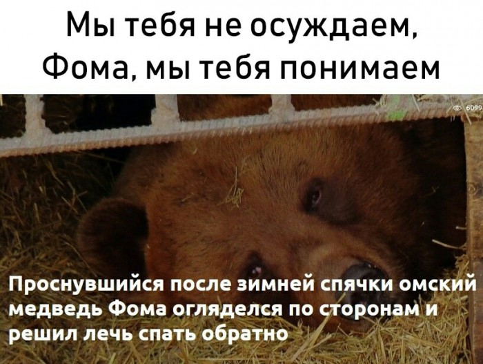 Анекдоты, соц-сети, истории и картинки с надписями