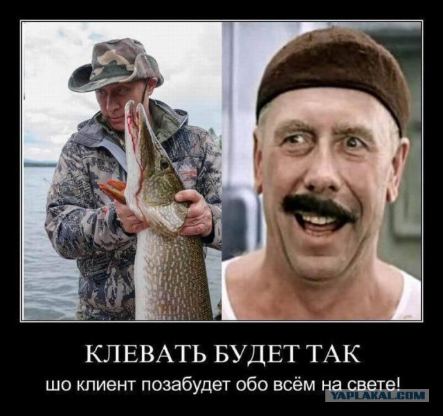 Два года реконструировали аквариум. Торжественно открыли - и он протек