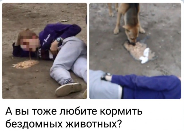 Нестандартный юмор