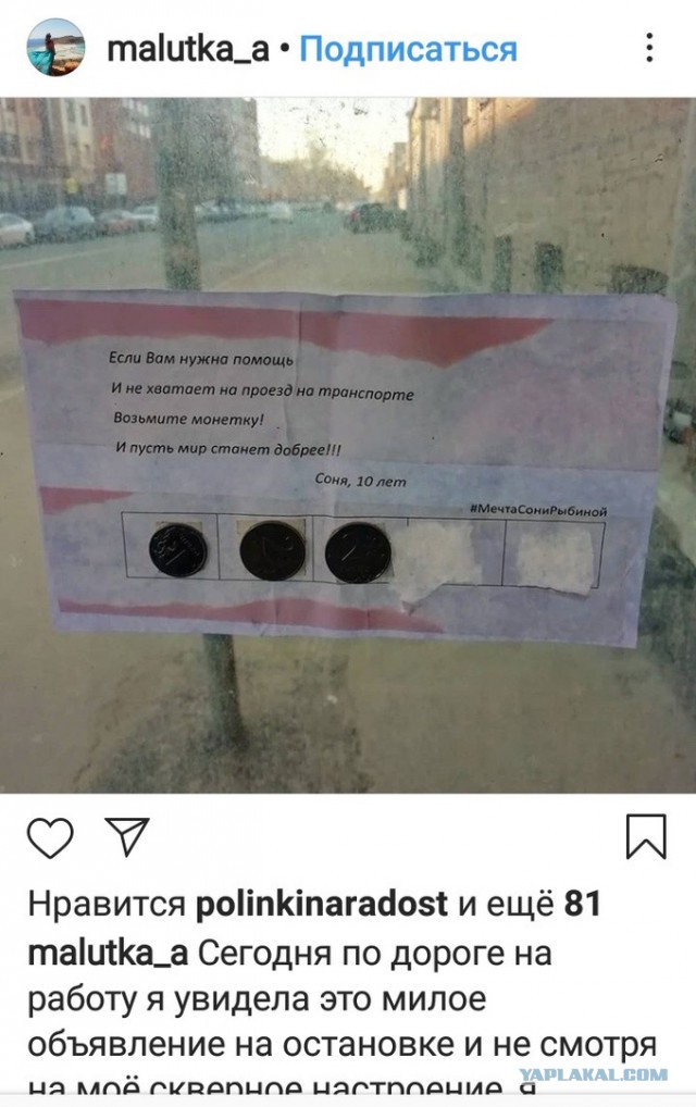 Мечта Сони Рыбиной