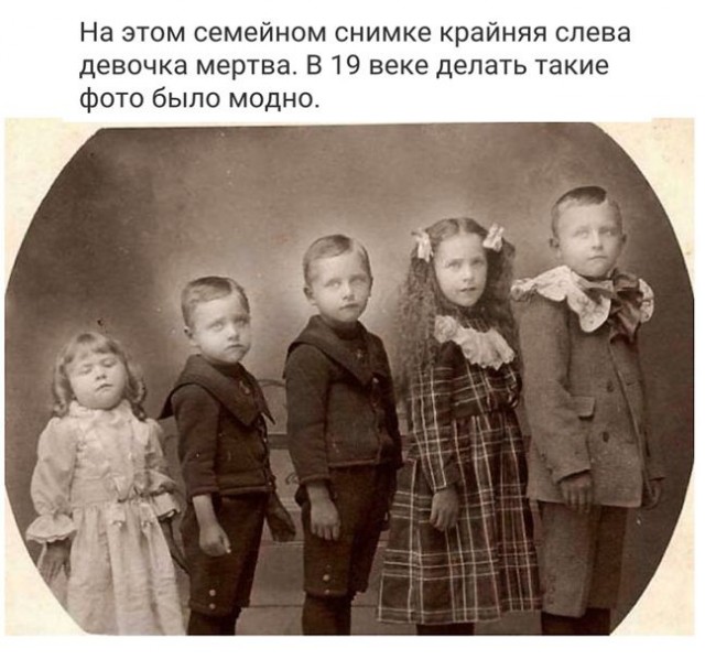 Кошка Мурка едет в дурку