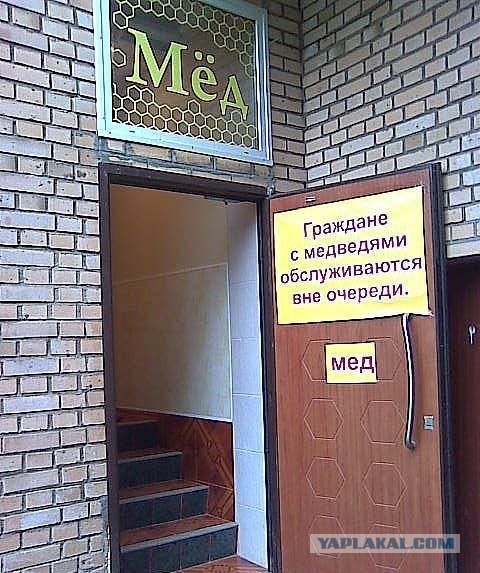 Фотожаба: Хочешь меда - бери с собой медведя