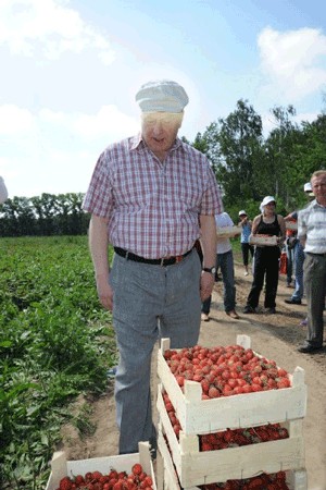 Как Жириновский на клубнике был