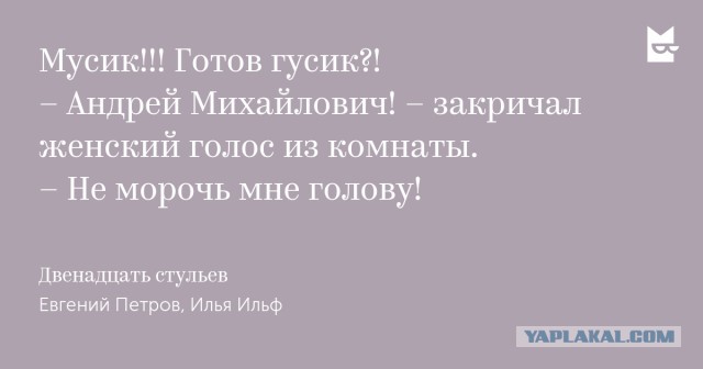 #ЯПовар . Гусь с картофелем по- корейски.