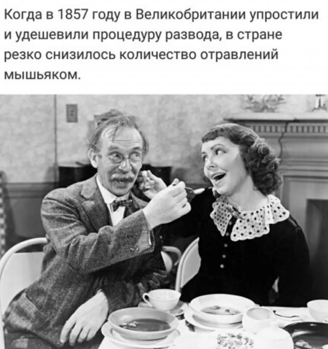 Бредзона 1.11.20