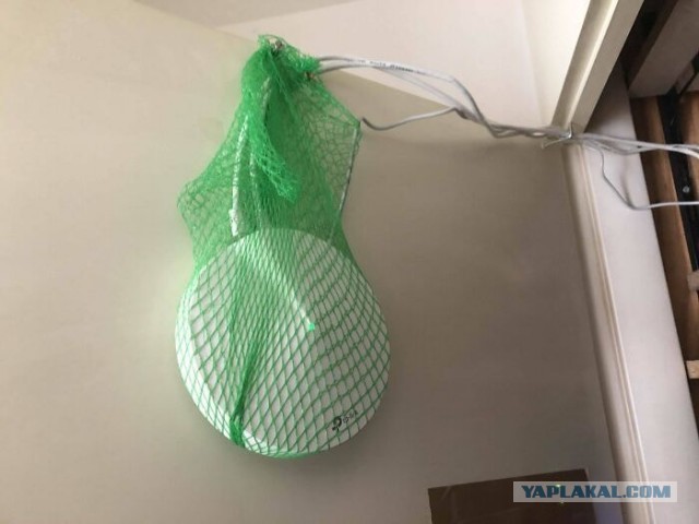До чего можно довести технику