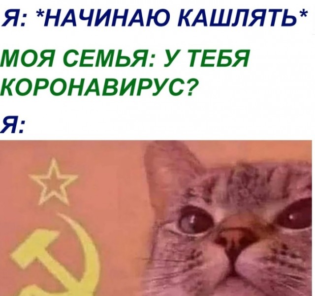Коты они такие