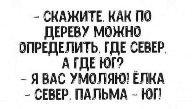 Картинки и мемы для настроения 029