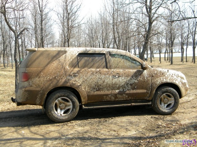На Шершни в глиноговны