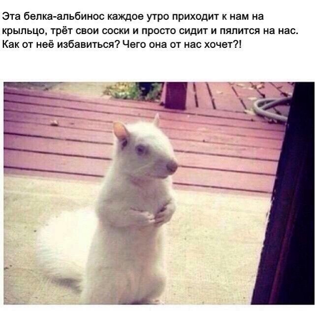 Картинки на вчера