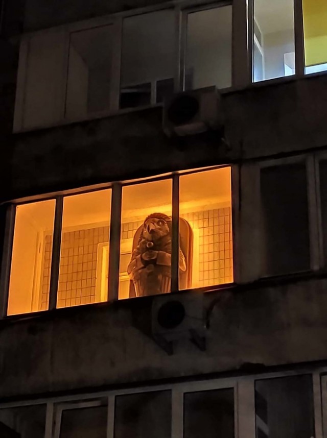 Всяческие картинки