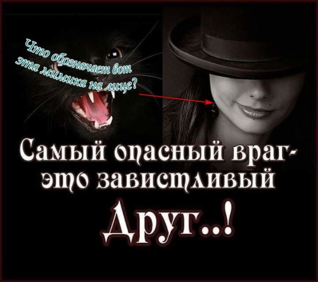 Баянисто-небаянистый юмор 15.08.21