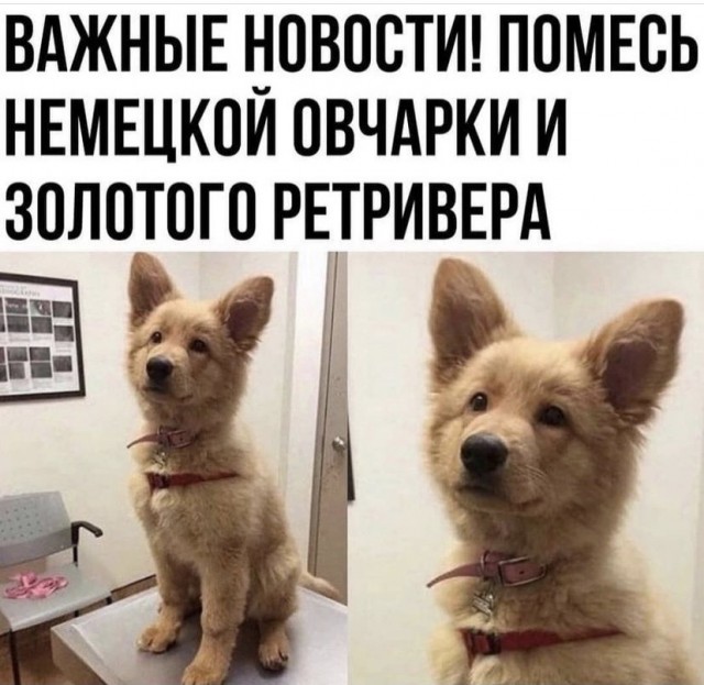 Картинки и мемы, всем прекрасных выходных