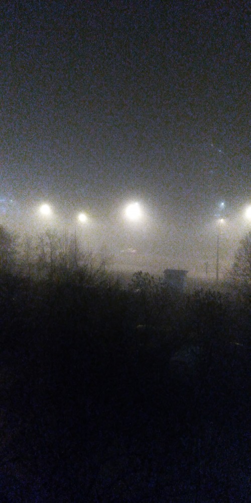 Туман в Москве