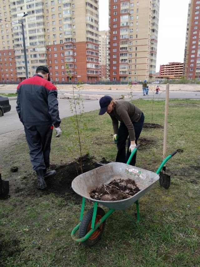 Свежая зелень