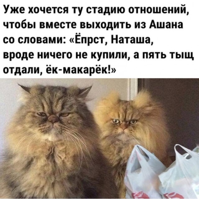 Весёлый полтишок 09.11