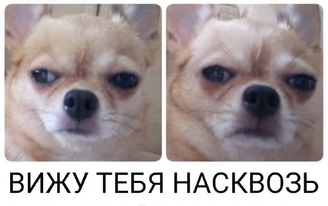 Два килограмма чистой ярости и злости