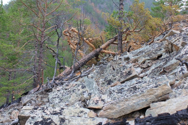 Байкал, 2011