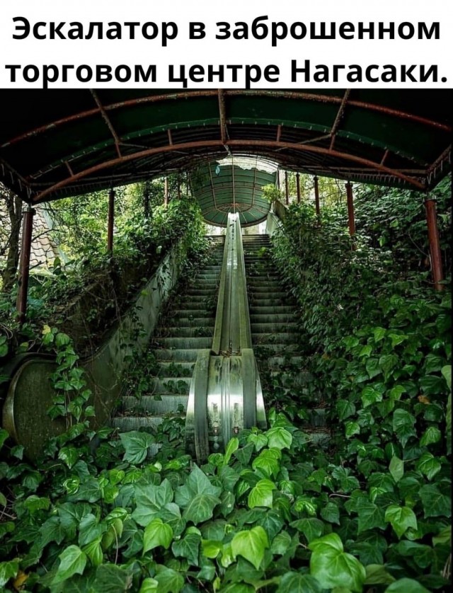 Так себе картинки 23.02.22