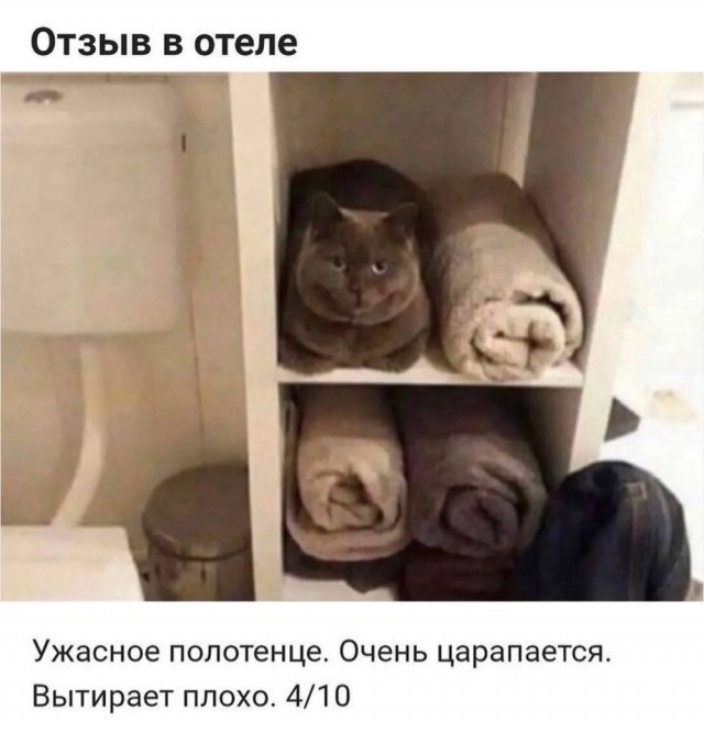 Чуток картинок 04.03.22