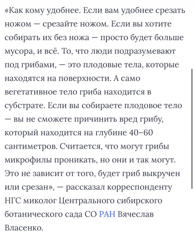Грибочки