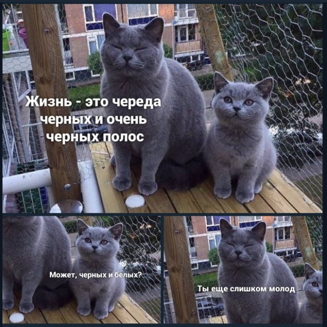 Картинки с надписями и всякие жизненные фразы