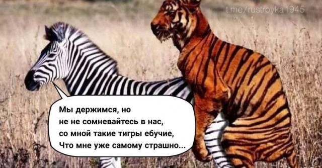 В офисе Зеленского озвучили требования Киева к Москве для прекращения огня