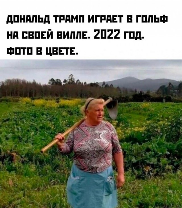 Картинки и мемы для настроения. Выходные скоро