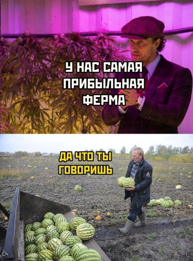 Картинки и мемы. Выходные близко, близко...