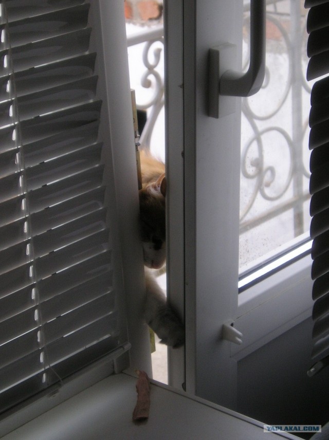 Прогулка по Крыму