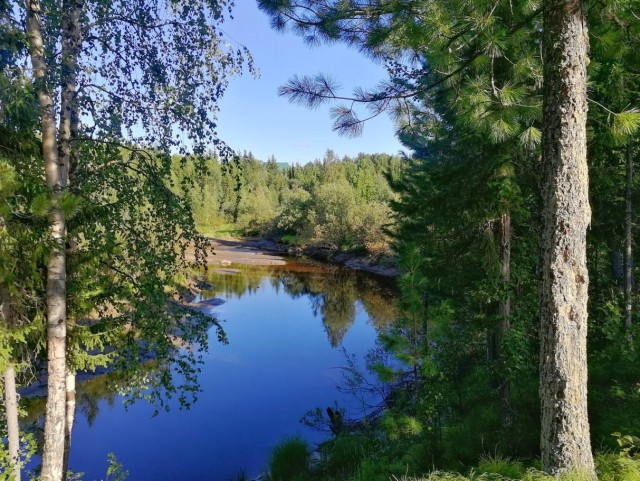 Красоты ямальской тундры