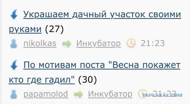 Украшаем дачный участок своими руками