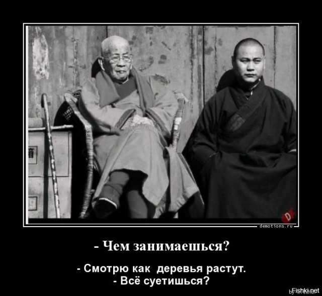 Победная поступь идиотизма по планете – том 11