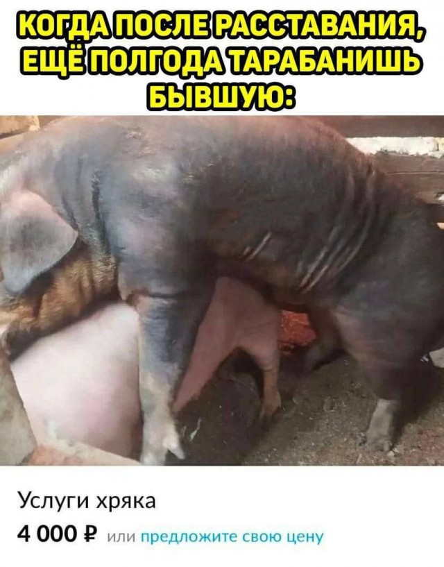 Всего понемногу. От 04.04.