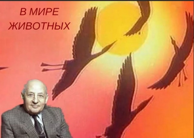 Победная поступь идиотизма по планете – том 12