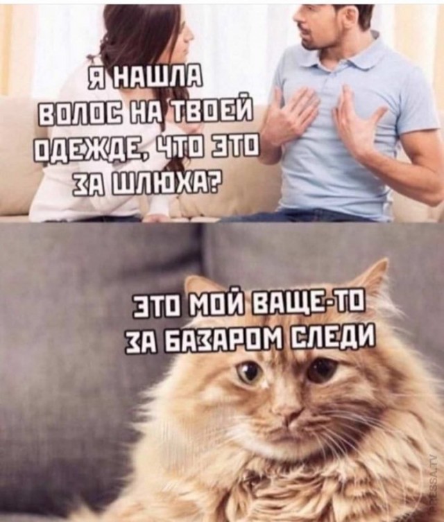 Немного пошлых картинок 08.05.23