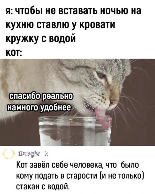 Так себе картинки 12.08.23
