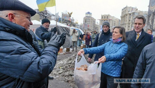 В Брянской области разгромили группу украинских диверсантов