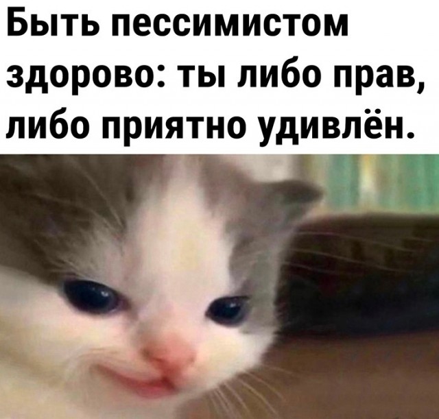 Так себе картинки 29.10.23