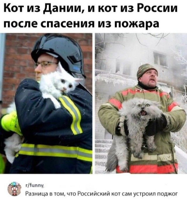 Уголёк!