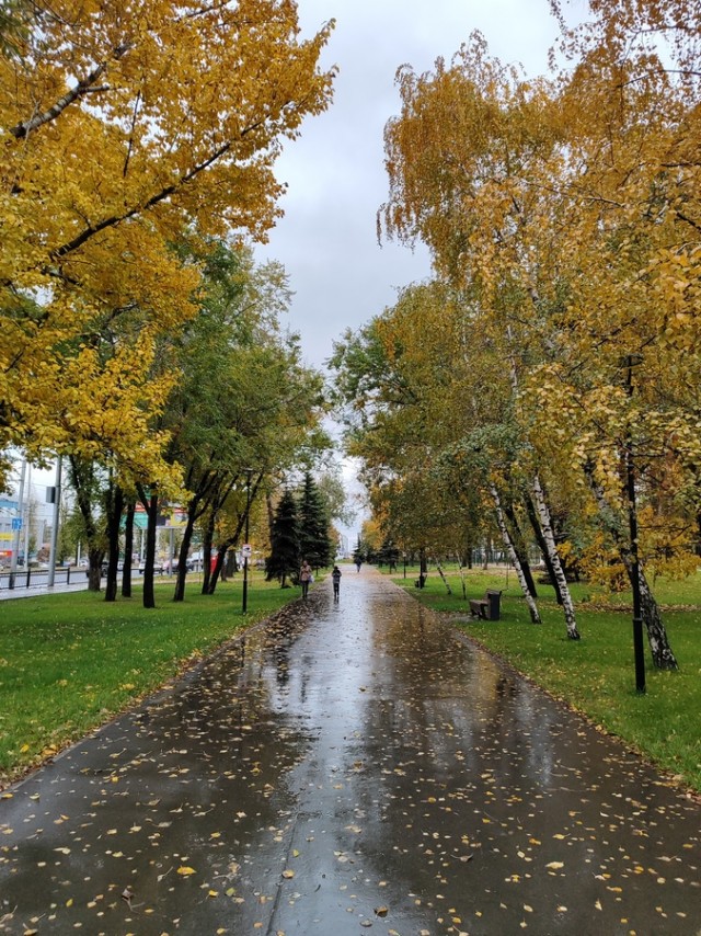 Диагноз: Саратов