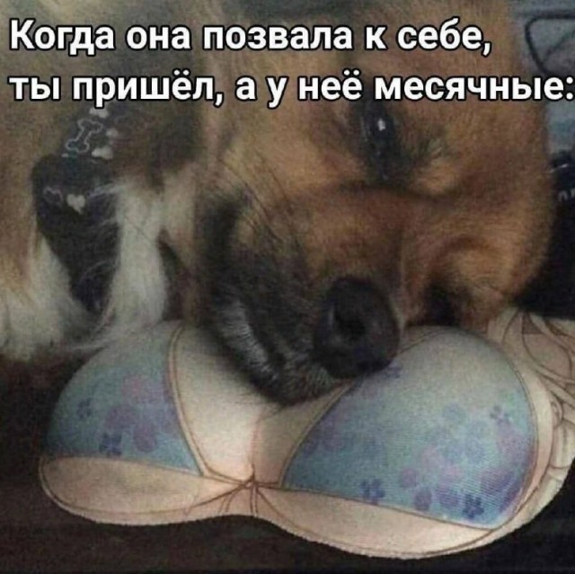 10 картинок