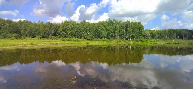 Всем лета, осталось ждать чуть!