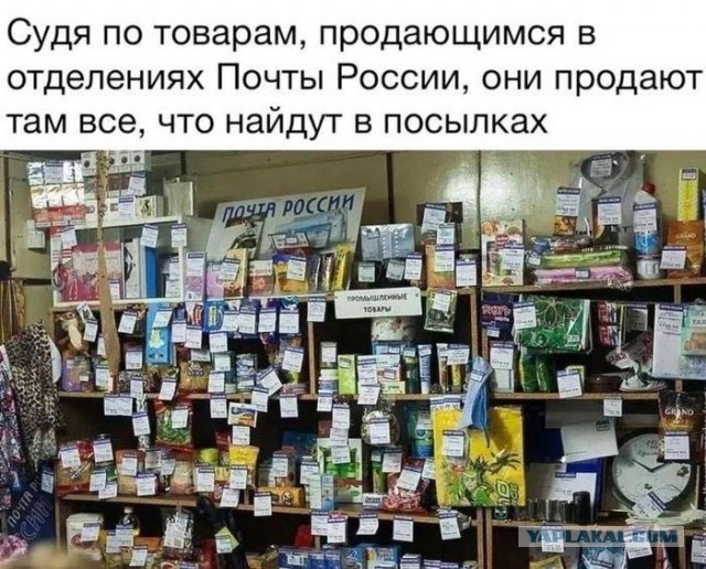 В Брянской области сотрудницы "Почты России" напали на клиентку